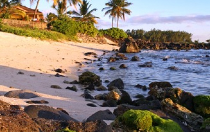 Mauritius - Sega na wyspie herbacianej