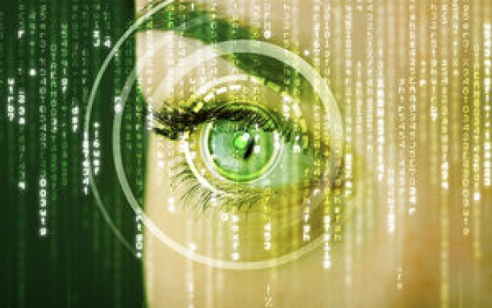 Dane biometryczne w systemach UE a prawa podstawowe obywateli