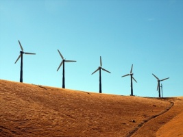 Szybki rozwój energetyki wiatrowej