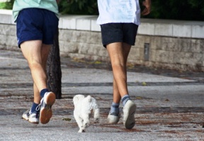 Bieganie z psem - czy to dobry pomysł
