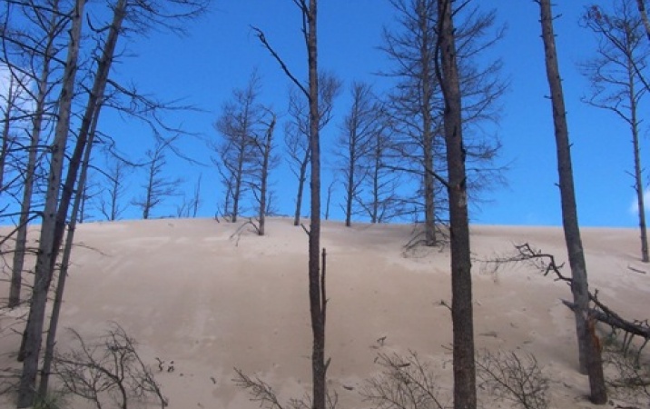 Mierzeja w Łebie - polska Sahara