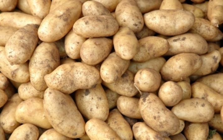 Jak kupować i przechowywać ziemniaki