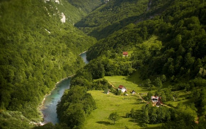 Niekomercyjna Czarnogóra