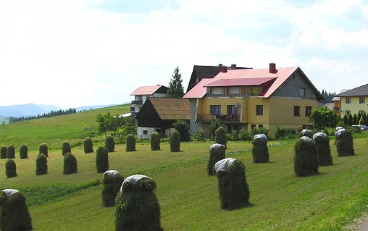 Jakie znaczenie ma definicja aktywnego rolnika?