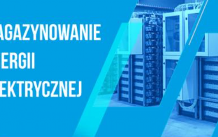 Systemy magazynowania energii elektrycznej (EES) - klasyfikacje i parametry 