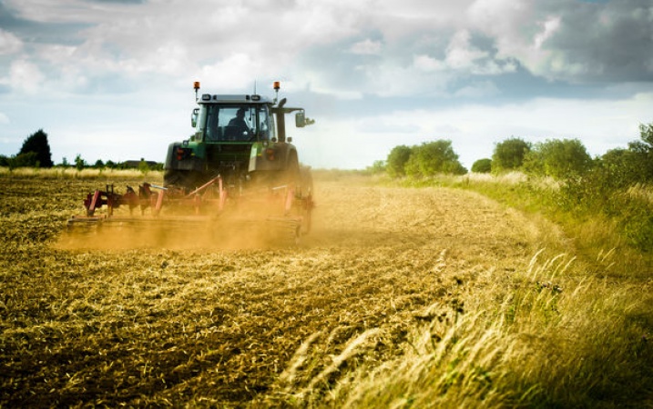 „Program rozwoju głównych rynków rolnych w Polsce na lata 2016–2020” – poznaj założenia koncepcji