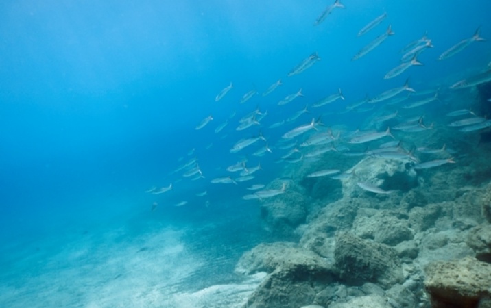Jak powstaje elektryczność z energii cieplnej oceanu