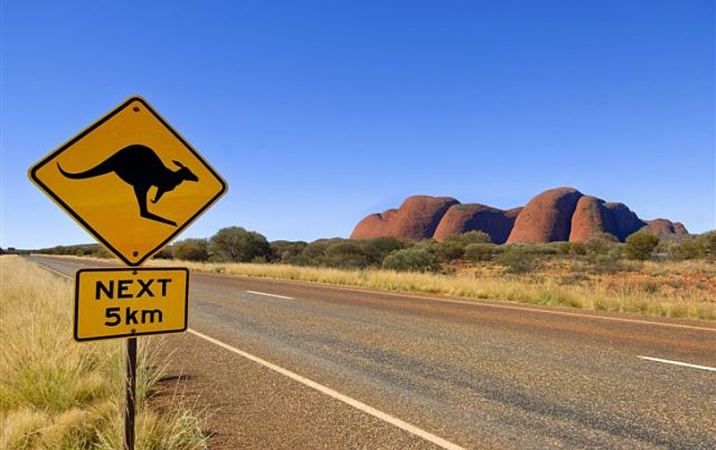 Australijskie zwierzęta