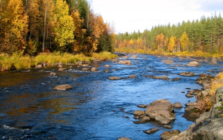 Finlandia - dla małych i dużych dzieci