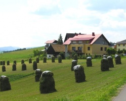 Nie trzeba być domownikiem by doliczyć staż pracy w gospodarstwie 