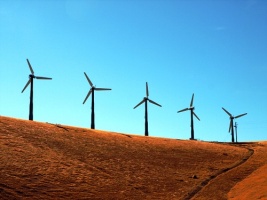Nowe zasady lokalizowania elektrowni wiatrowych