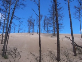 Mierzeja w Łebie - polska Sahara