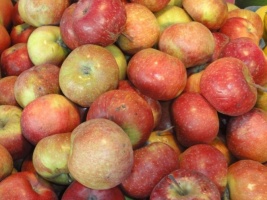 Szansa na nowe zlecenia dla firmy – targi Fruit Logistica