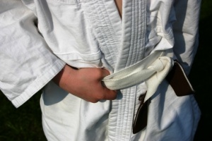 Jakie pasy wyróżniamy w karate