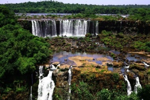 Przyrodnicze atrakcje Parku Narodowego Iguaçu