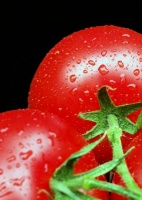 Jak przygotować sałatkę z pomidorów i kukurydzy