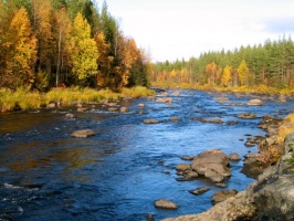 Finlandia - dla małych i dużych dzieci