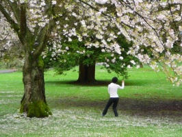 Ćwiczenia Tai Chi