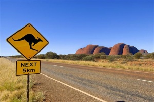 Australijskie zwierzęta