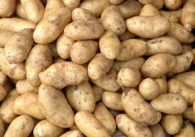 Jak kupować i przechowywać ziemniaki