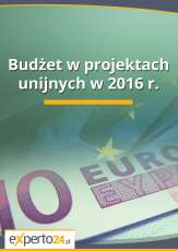 Budżet w projektach unijnych 