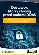 Dostawcy, którzy chronią przed atakami DDoS