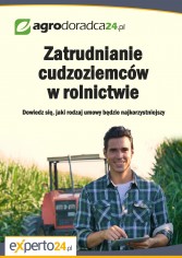 Zatrudnianie cudzoziemców w rolnictwie. Dowiedz się, jaki rodzaj umowy będzie najkorzystniejszy