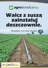 Walcz z suszą – zainstaluj deszczownie. Sprawdź, czy się opłaca