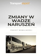 Zmiany w wadze naruszeń