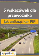 5 wskazówek dla przewoźnika, jak uniknąć kar PIP