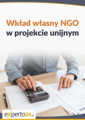 Wkład własny NGO  w projekcie unijnym