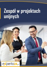 Zespół w projektach unijnych